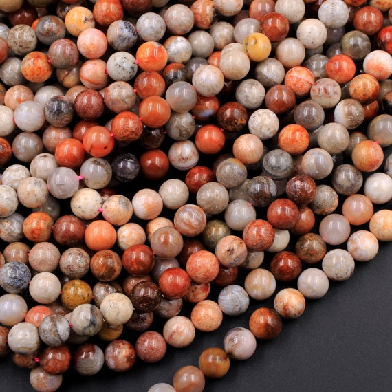 Coral on sale fossil beads