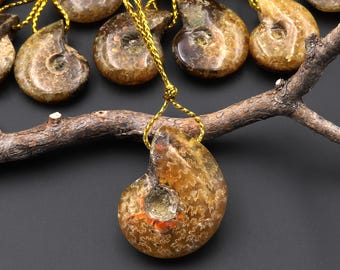 Small Natural Whole Yellow Ammonite Fossil Top Side Drilled Pendant Bead