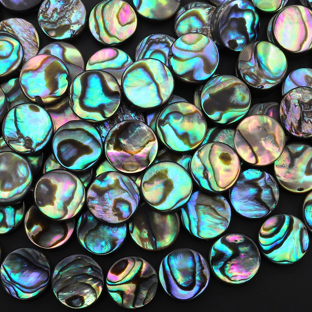 AAA Genuine Abalone Shell 6mm 8mm 10mm 12mm 14mm 16mm Coin Beads ...