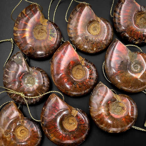 Échos Anciens : Pendentif Fossile D'ammonite Véritable Fait Main En Argent St