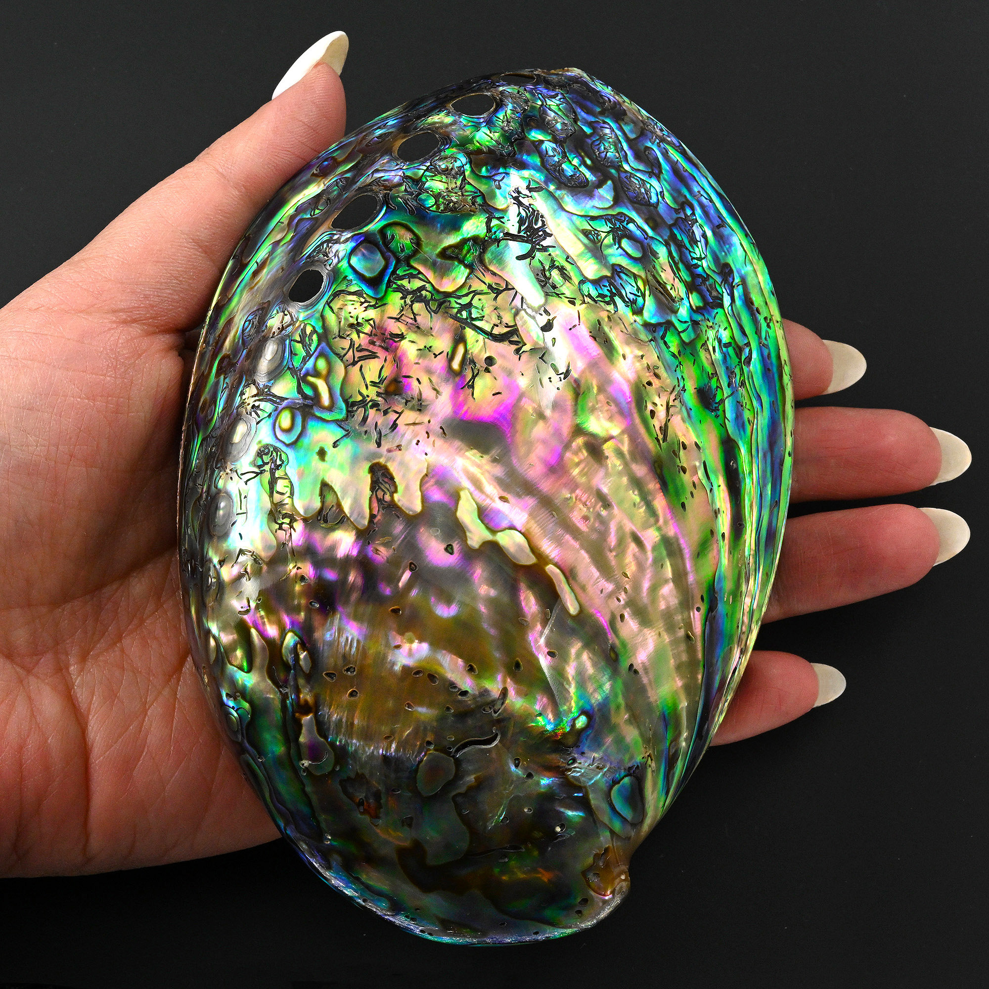 AAA+ Natural Abalone Shell Dish Rainbow Iridescence Ritual Decor Beach House Seashell
