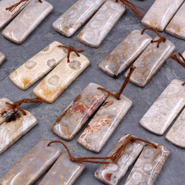 Fossil Coral Earring Pair Cabochon Cab Pair Drilled Rectangle Matched Earrings Natural Pattern Bead Pair