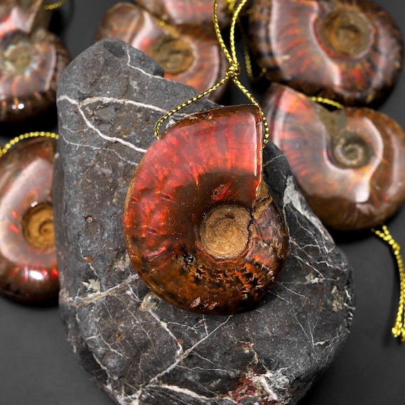 Pendentif Fossile Ammonite Sur Argent Opalescent – 58 Carats – Origine Maroc