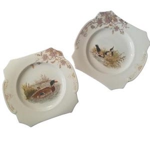 Floral Gamebird Plates, Pair of Antique Porcelain Handpainted Plates, Tea Party Dishes, Salad, Dessert, Serving Plates, Wall Decor, Cottage