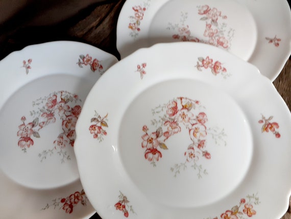 Assiettes plates Arcopal France motif florentin lot de 3 bordures  festonnées fleurs roses feuilles vert gris vaisselle française vintage -   France