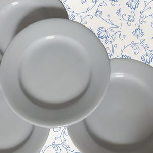 May include: A collection of five white ceramic plates. The plates are round with a slightly raised rim. The background features a floral pattern in blue and white, adding a decorative touch to the composition. These plates are suitable for everyday use.