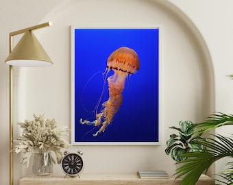 Qualle, Qualle, Wandkunst, Ozean Fotografie, Küsten Dekor, Qualle Druck, digitaler Download