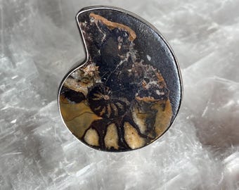 May include: A silver-toned ring featuring a polished, fossilized ammonite. The ammonite displays a detailed pattern of brown, tan, and black hues. The ring's setting is a simple, polished silver band.