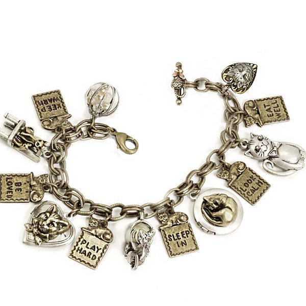 Cat Charm Bracelet, Cat Lover Jewelry Gift, Crazy Cat Lady, Cat Locket, Cat Memorial Gift BR222