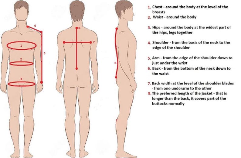 May include: Diagram illustrating body measurements for clothing. The image shows a front, back, and side view of a person with red lines indicating chest, waist, hip, shoulder, arm, back, back width, and jacket length measurements.