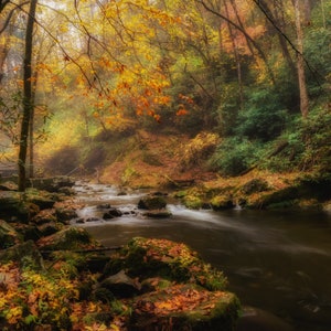 Smoky Mountain Autumn