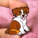 see more listings in the Australian Shepherd section