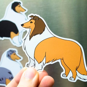 Rough Collie magnets