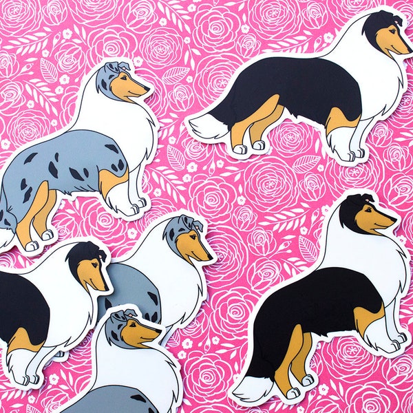 Rough Collie blue merle and black tri vinyl stickers