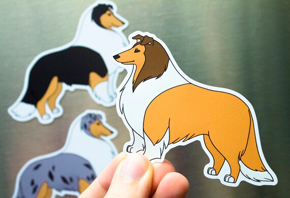 ROUGH COLLIE Clean Dirty DISHWASHER MAGNET No 1 NEW 