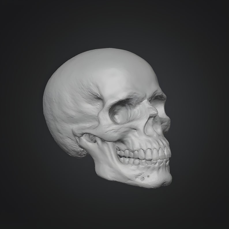 Miniature human skull STL model for gothic witch dollhouse and dark fantasy decor