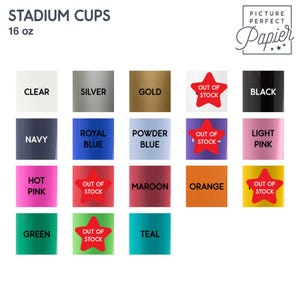 Personalized 16oz Stadium Cups - Papel Picado with Script Font Design for Parties image 2