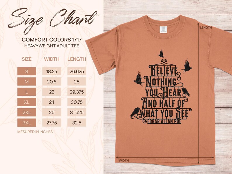 Poe Quote Shirt, creepy raven shirt, poe quote halloween shirt, Comfort Colors ® halloween, creepy crow shirt, great goth gift, poe raven t image 3