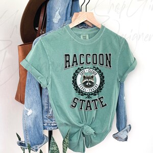 May include: A teal blue t-shirt with a black and white graphic of a raccoon with the text "Raccoon State" and the words "Cute - Clever - Feral - Trashy" in a wreath around the raccoon.