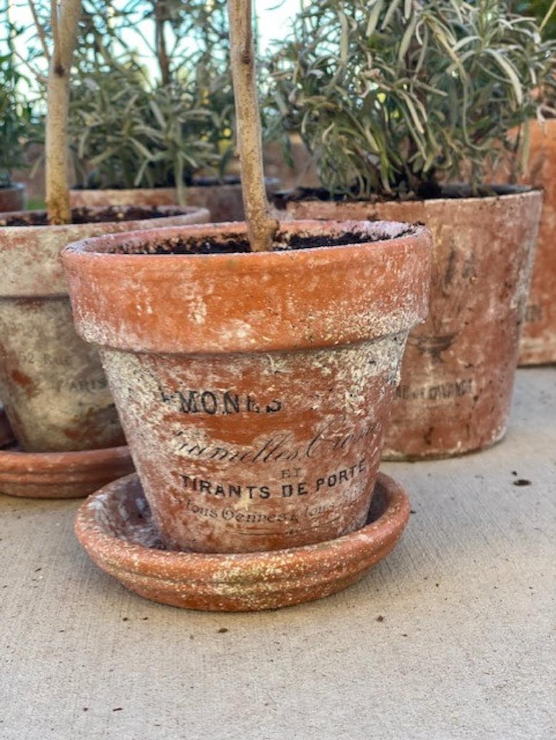 Mini Terracotta pot distressed aged by hand with French Etsy