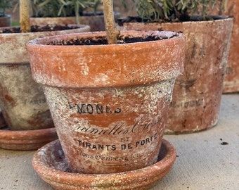 Mini Terracotta pot distressed aged by hand with French graphic