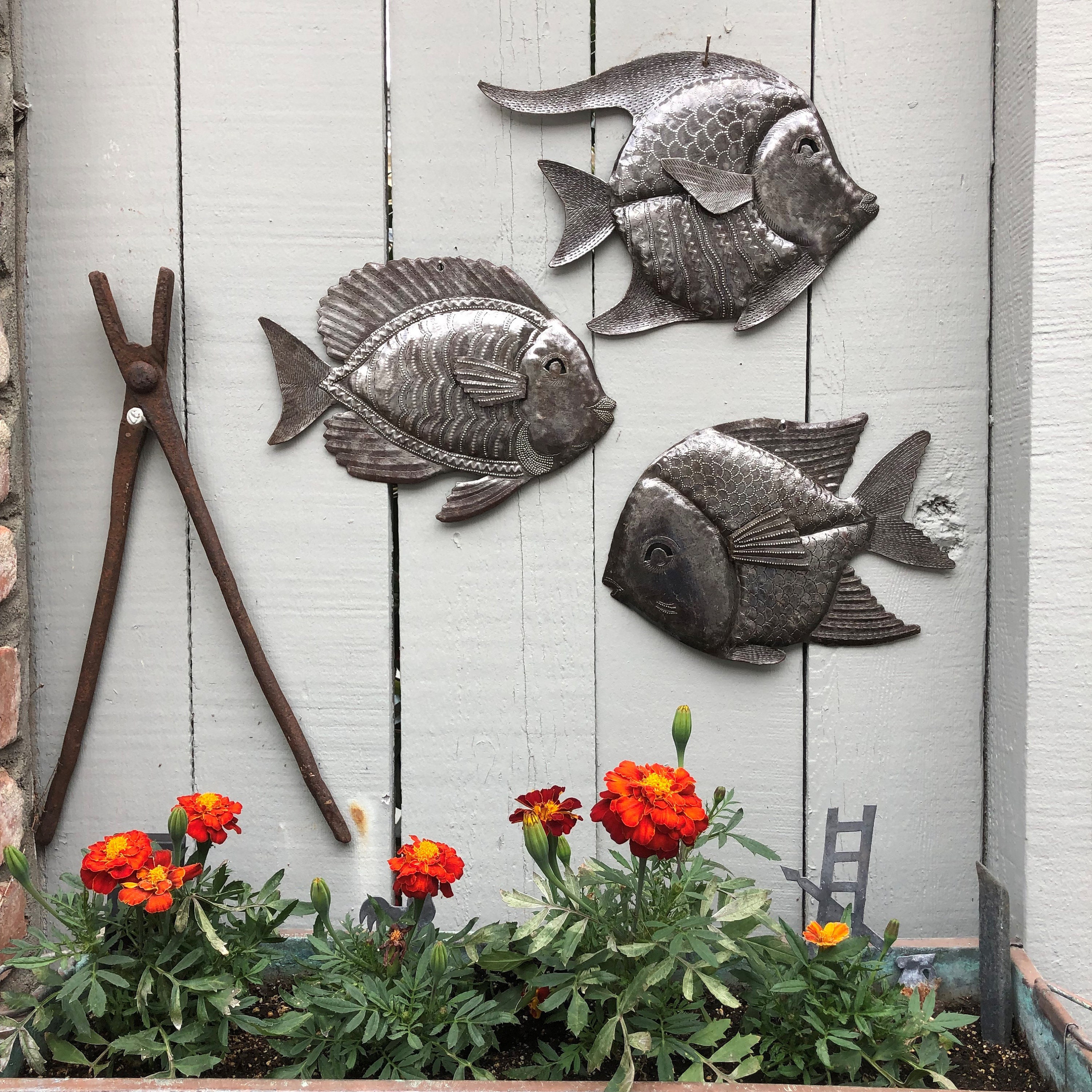 Nautical Fish Set of 3 Sea Life Home Decor Fisherman's Etsy