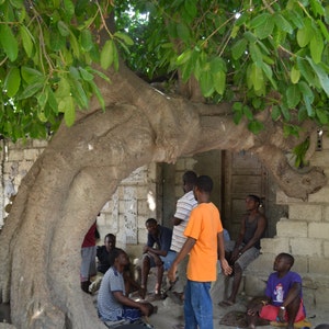 Garden Tree of Life with 3-D Birds, Family Wall Hanging Plaques, Indoor Outdoor, Best Friend Gift Ideas, Haitian Steel Drum Art 15 x 15 image 8