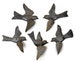 Set of 5 Metal Birds, Garden Home Decorations, Nature Inspired Chirming Birds, Handmade from Recycled Steel Barrels, Haitian Art, 6' x 5' 