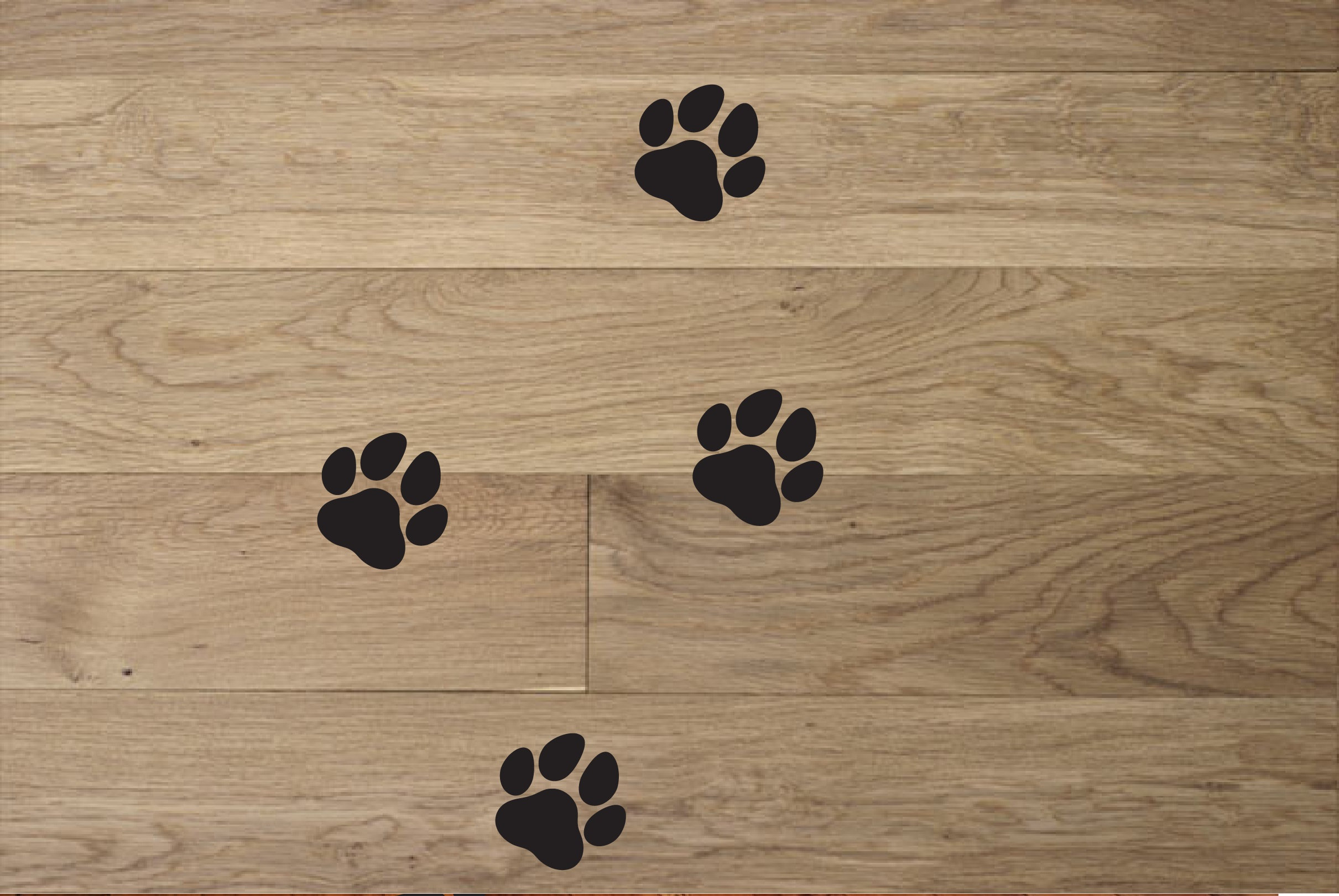 Dog Paw Prints Wall Decals Set of 10 Fun Stickers Removable Etsy