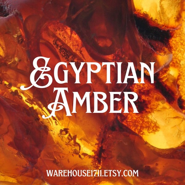 Egyptian Amber Body Oil Etsy