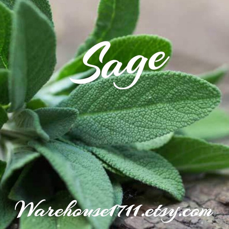 Sage Candle/bath/body Fragrance Oil Etsy