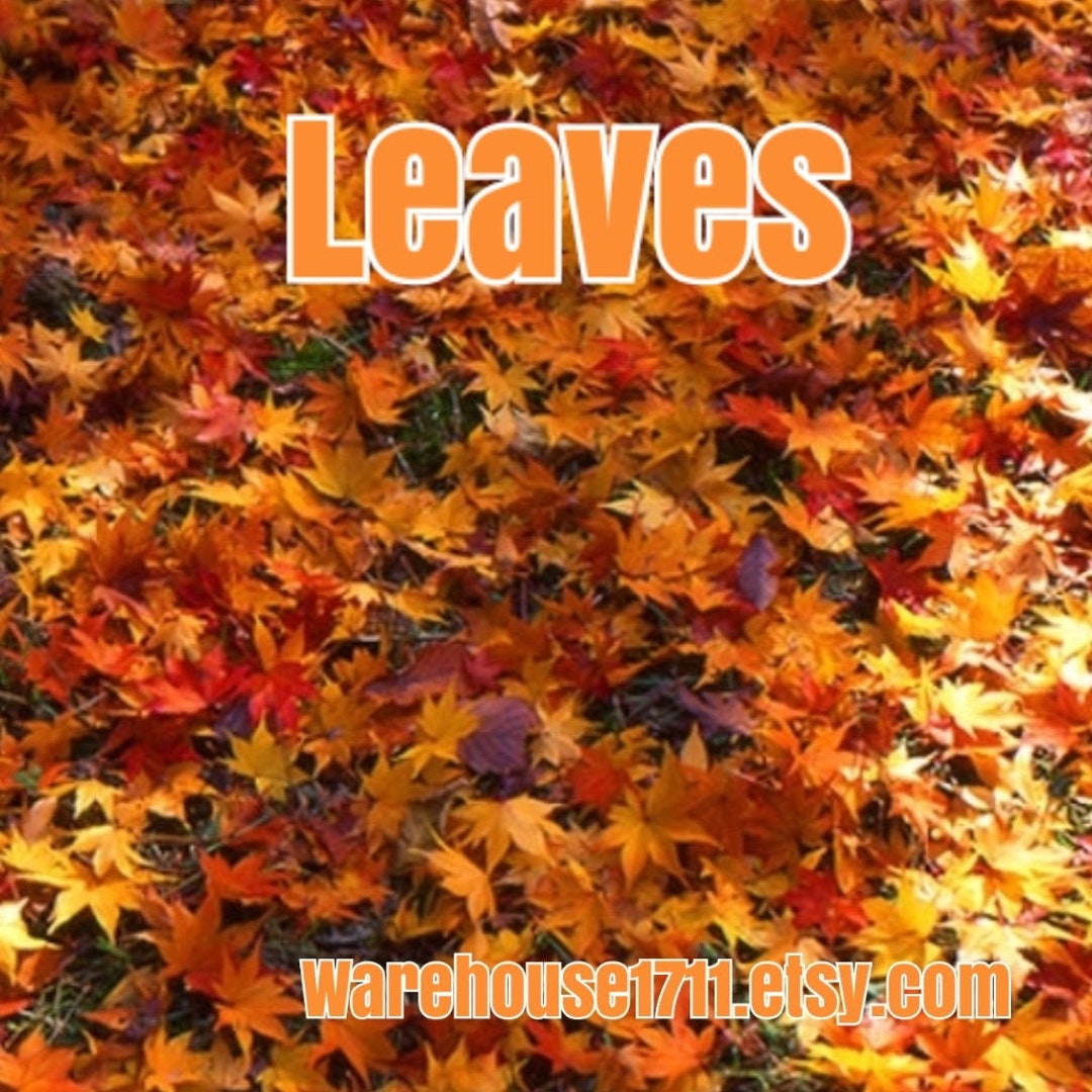 Leaves type Candle Fragrance Oil Etsy