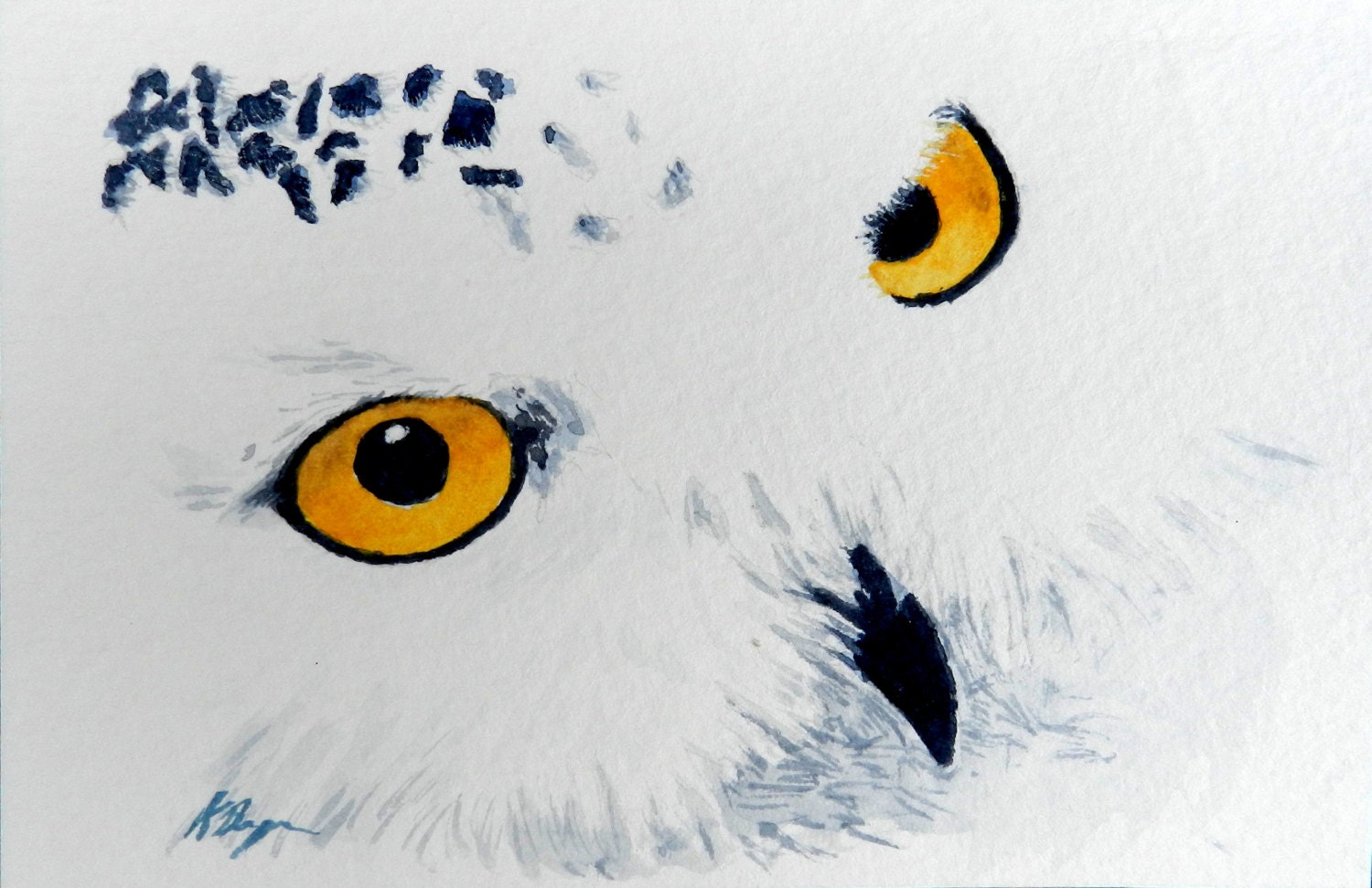 Yellow-eyed Owl, 4x6, Original Watercolor Postcard Painting