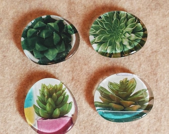 Handmade Succulent Refrigerator Magnets // Glass Succulent Magnets // Upcycled // Glass // Magnets // Set of 4