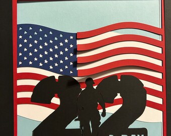 Veteran Shadow Box.  Honoring USA, American Flag, and Veterans that have served. Honoring veterans and recognizing their sacrifice. 22 A Day