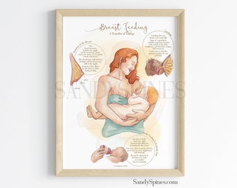 Breastfeeding Educational Poster | SANDYSPINES | Art for Chiropractors, physical therapists, Osteopaths and More