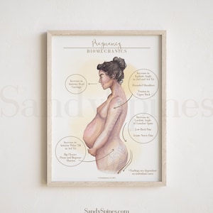 Biomechanics of Pregnancy Poster | SANDYSPINES | art for health professions, osteopaths, chiropractors, physical therapists
