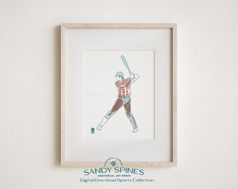 Baseball Anatomy Art Print | Male Athlete Sports Anatomy (Digital Download)