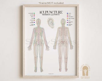 Acupuncture Chart I by SandySpines