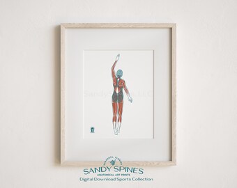 Swimming Anatomy Art Print | Female Swimmer Sports Anatomy (Digital Download)