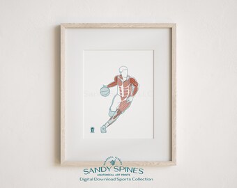 Basketball Anatomy Art Print | Sports Anatomy (Digital Download)