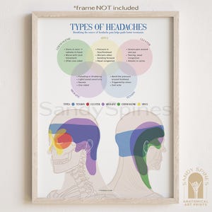 Type of Headaches Chart Poster | Chiropractic Art & Posters