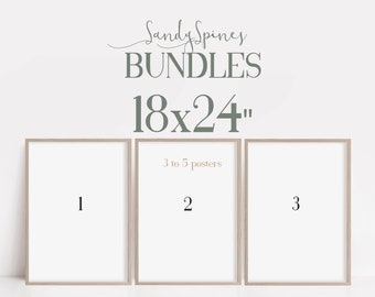 Poster Bundles | SANDYSPINES | Art for Chiropractors, physical therapists, Osteopaths and More
