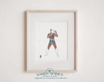 Boxing Anatomy Art Print | Sports Anatomy (Digital Download)