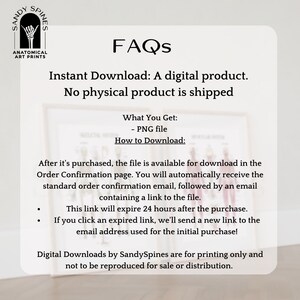 May include: A white background with black text that reads "FAQs" in large letters. Below the text is a description of the digital download process for a product. The text reads "Instant Download: A digital product. No physical product is shipped." Below that is a list of information about the product, including what is included in the download and how to download it. The text reads "What You Get: - PNG file How to Download: After it's purchased, the file is available for download in the Order Confirmation page. You will automatically receive the standard order confirmation email, followed by an email containing a link to the file. This link will expire 24 hours after the purchase. If you click an expired link, we'll send a new link to the email address used for the initial purchase! Digital Downloads by SandySpines are for printing only and not to be reproduced for sale or distribution."