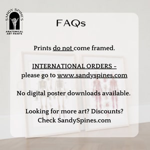 May include: A white background with black text that reads "FAQs". The text below reads "Prints do not come framed. INTERNATIONAL ORDERS - please go to www.sandyspines.com No digital poster downloads available. Looking for more art? Discounts? Check SandySpines.com".
