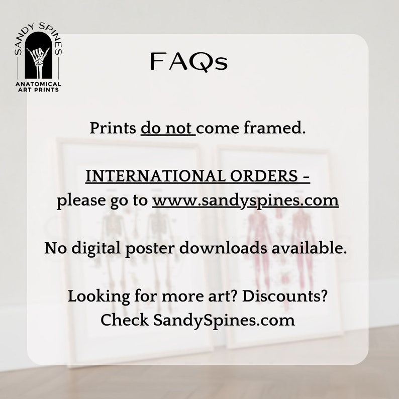 May include: A white background with black text that reads "FAQs". The text below reads "Prints do not come framed. INTERNATIONAL ORDERS - please go to www.sandyspines.com No digital poster downloads available. Looking for more art? Discounts? Check SandySpines.com".