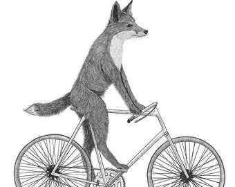 Fox on a bike hotsell