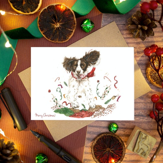 Springer Spaniel 'Spring into Christmas!' Christmas card