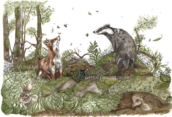 Badger, fox and friends in bluebells Limited edition print